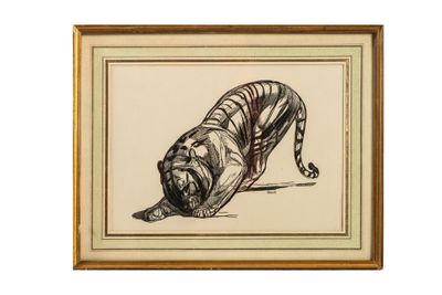 une image représentant un dessin de tigre sur fond blanc