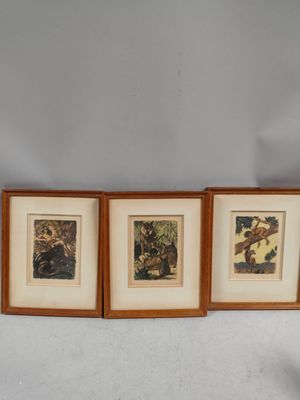 three framed pictures of animals in a room with a white wall