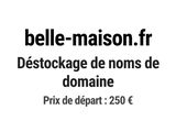 Photo 1/1 du lot