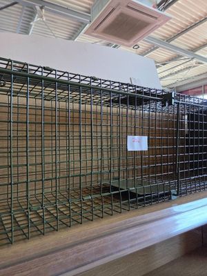 a cage with a bird inside of it in a building