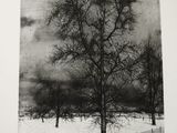 black and white photograph of a tree in a snowy field
