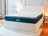 an image of a bedroom with a mattress on the floor