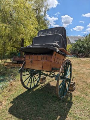 une calèche qui est garée dans l'herbe