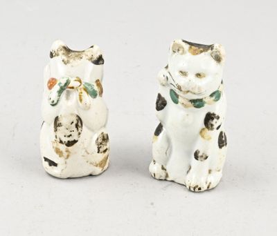 deux chats, un blanc et un noir, assis l'un à côté de l'autre sur une surface blanche