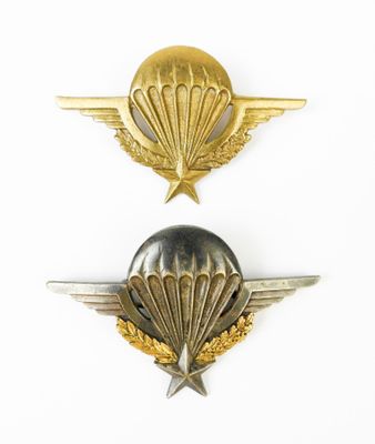 deux insignes militaires ornés d'ailes et d'une étoile sur fond blanc