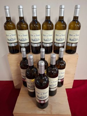 12 Bouteilles Château Roc de Thau 2014 Blanc Sémillon Sauvignon Gris M
