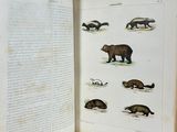 an open book with a picture of animals on it