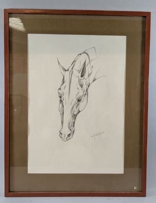 drawing of a giraffe head in a frame on a wall