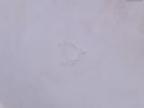 a close up of a white plate with a bird on it
