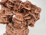 a brown vase with a bunch of brown flowers in it