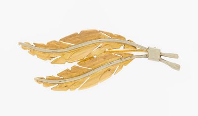 an image of a close up of a leaf brooch on a white background
