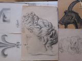 sketches of a head of a woman with horns and a goat
