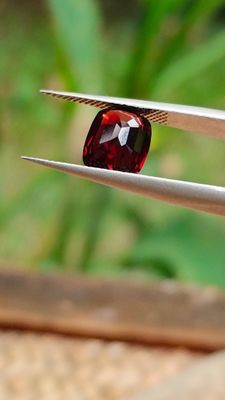 une personne tenant une pince sur laquelle est gravé un losange rouge
