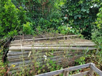 un tas de bois posé au milieu d'un jardin