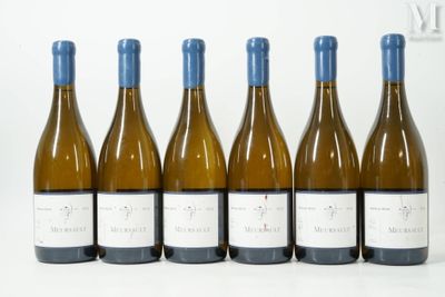 six bouteilles de vin sont alignées sur une surface blanche