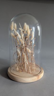 a glass clochet with dried plants inside of it