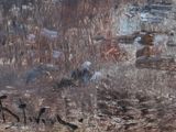 a painting of a group of animals on the side of a mountain