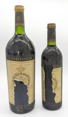 deux bouteilles de vin posées l'une à côté de l'autre sur une surface blanche