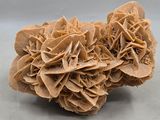 un morceau de papier sur lequel on distingue des motifs ressemblant à des fleurs sur un fond blanc