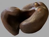 a sculpture of a woman with her head in the shape of a heart