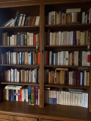 Bon rayonnage de livres actuels, Enlèvement sur place à Bret…