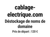 Photo 1/1 du lot