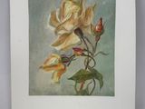 an image of a painting of a yellow rose on a blue background