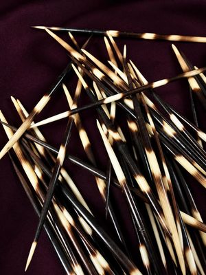 a lot of toothpicks that are laying on a table