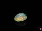 a close up of a white oplite on a black surface
