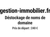 Photo 1/1 du lot