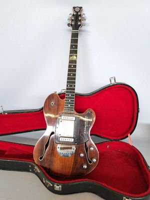 Hayman 2020, guitare électrique en bois de placage, dans son étui. - Photo 1