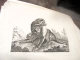 un dessin représentant un lion et un singe posés sur une table