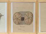 three framed drawings of different shapes and sizes of objects in a wooden frame
