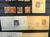 une vitrine sur laquelle sont exposés de nombreux timbres