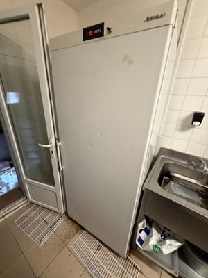 une petite cuisine équipée d'un évier et d'un réfrigérateur