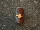 an image of a ring with a gold ring on it