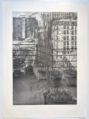 une photo en noir et blanc d'une plante en pot devant un immeuble