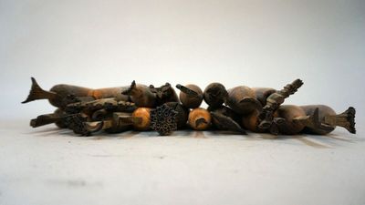a lot of fish that are laying on the ground