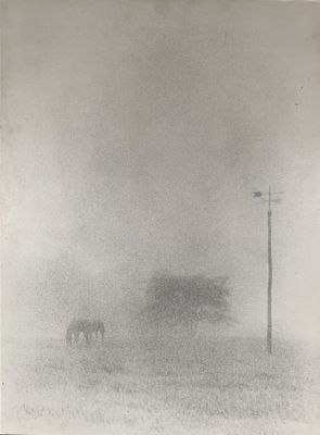 photographie en noir et blanc de deux chevaux paissant dans un champ brumeux