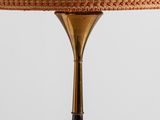 a close up of a lamp with a brown shade on it