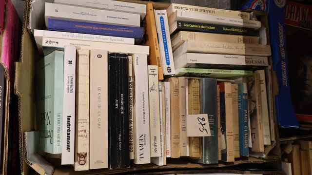 Lot de livres sur la littérature dont NERVAL, LAUTREAMONT, CLAUDE...