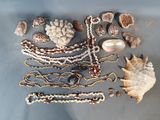 beaucoup de coquillages et de colliers posés sur la table