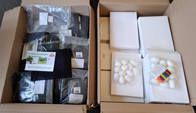 deux boîtes contenant des objets différents, posées sur une table