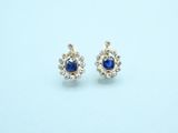 a pair of sapphire and diamond earrings on a white background