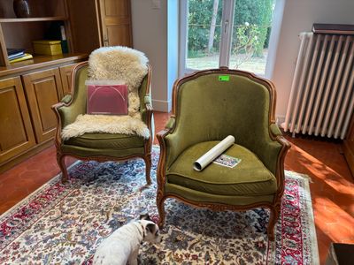 a dog that is standing in front of a chair