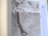 un livre ouvert sur lequel figurent l'image d'un pied de femme et celle d'une jambe d'homme