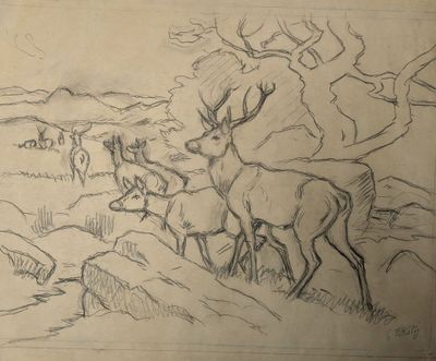 pencil drawing of a herd of deer in a field with trees