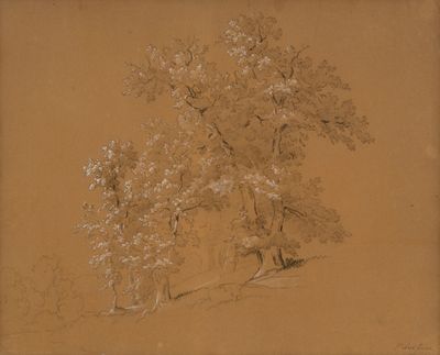 dessin représentant un groupe d'arbres sur une colline, avec un banc au premier plan