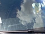 a car that has a dog in the back seat of it