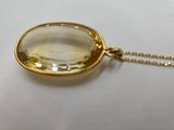 an image of a gold necklace with a glass pendant on it
